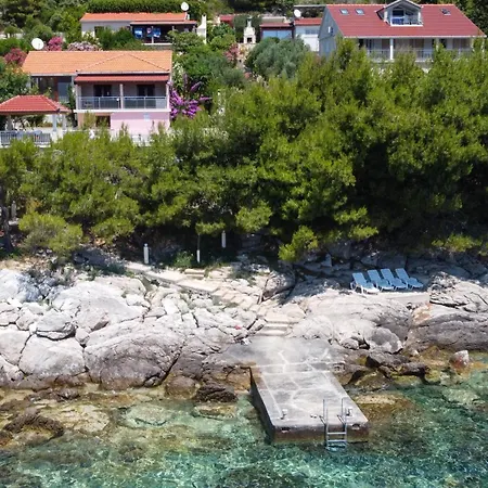 Kuca Ivana * Прижба