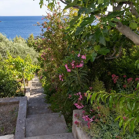 Kuca Ivana Прижба