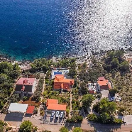 Kuca Ivana * Прижба