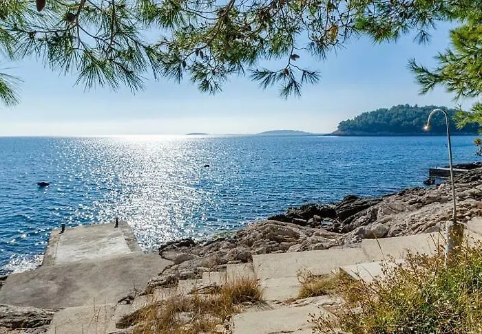 Kuca Ivana Vikendica